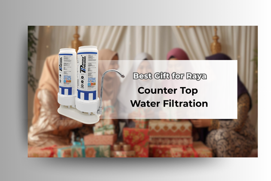 Best Gift for Raya: Counter Top Water Filtration