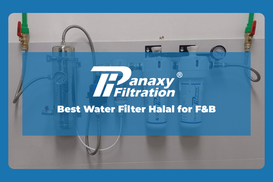 Best Water Filter Halal for F&B : Panaxy Filtration®