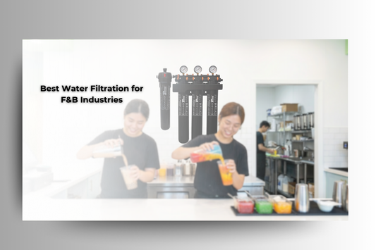 How Panaxy is Redefining Water Safety Standards for Global F&B Industries