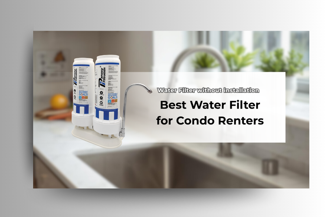 Best Water Filter for Condo Renters