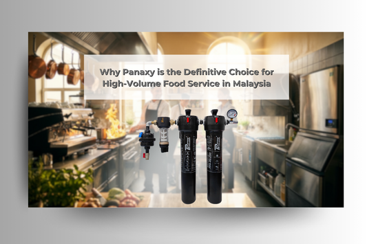 Best Water Filter for High-Volume Food Service in Malaysia